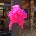 Pink Bow