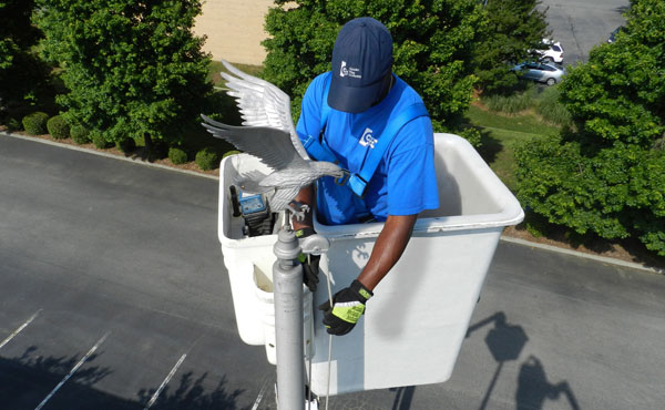 Flagpole Repair